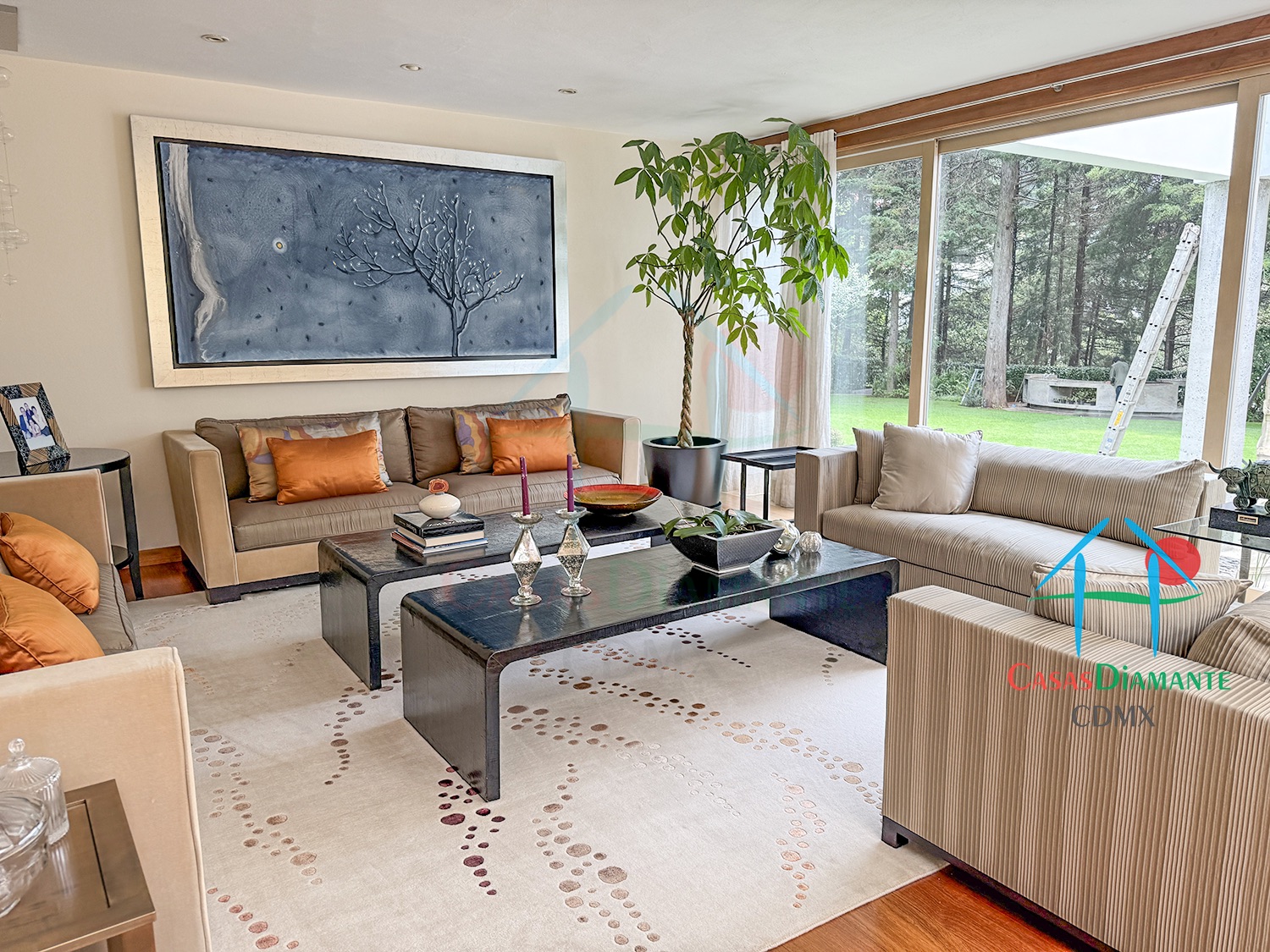 Rancho San Francisco Casa Encino - Sala 8